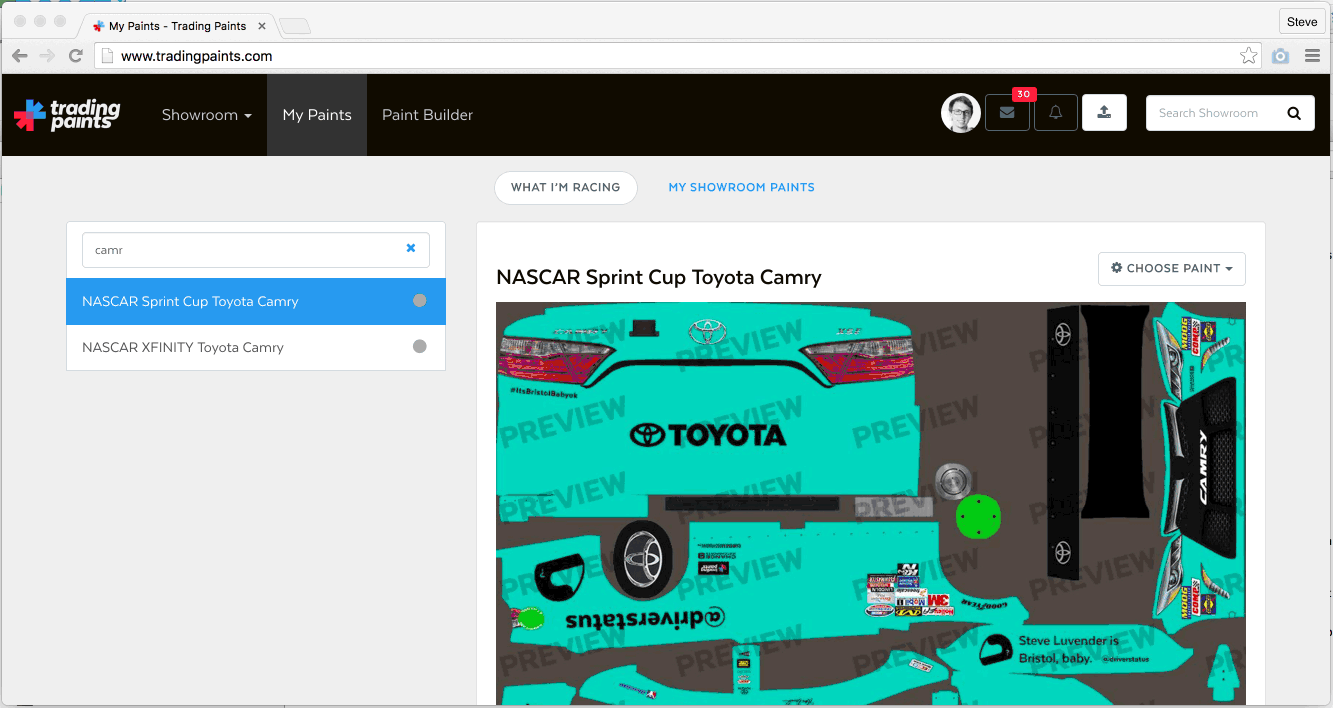 Custom iRacing League Paint