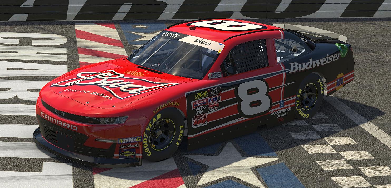 Budweiser DEI Fictional by Trenton Snead Trading Paints