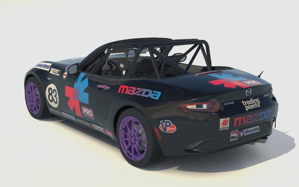 Trading Paints Pro by Christopher N S. Trading Paints