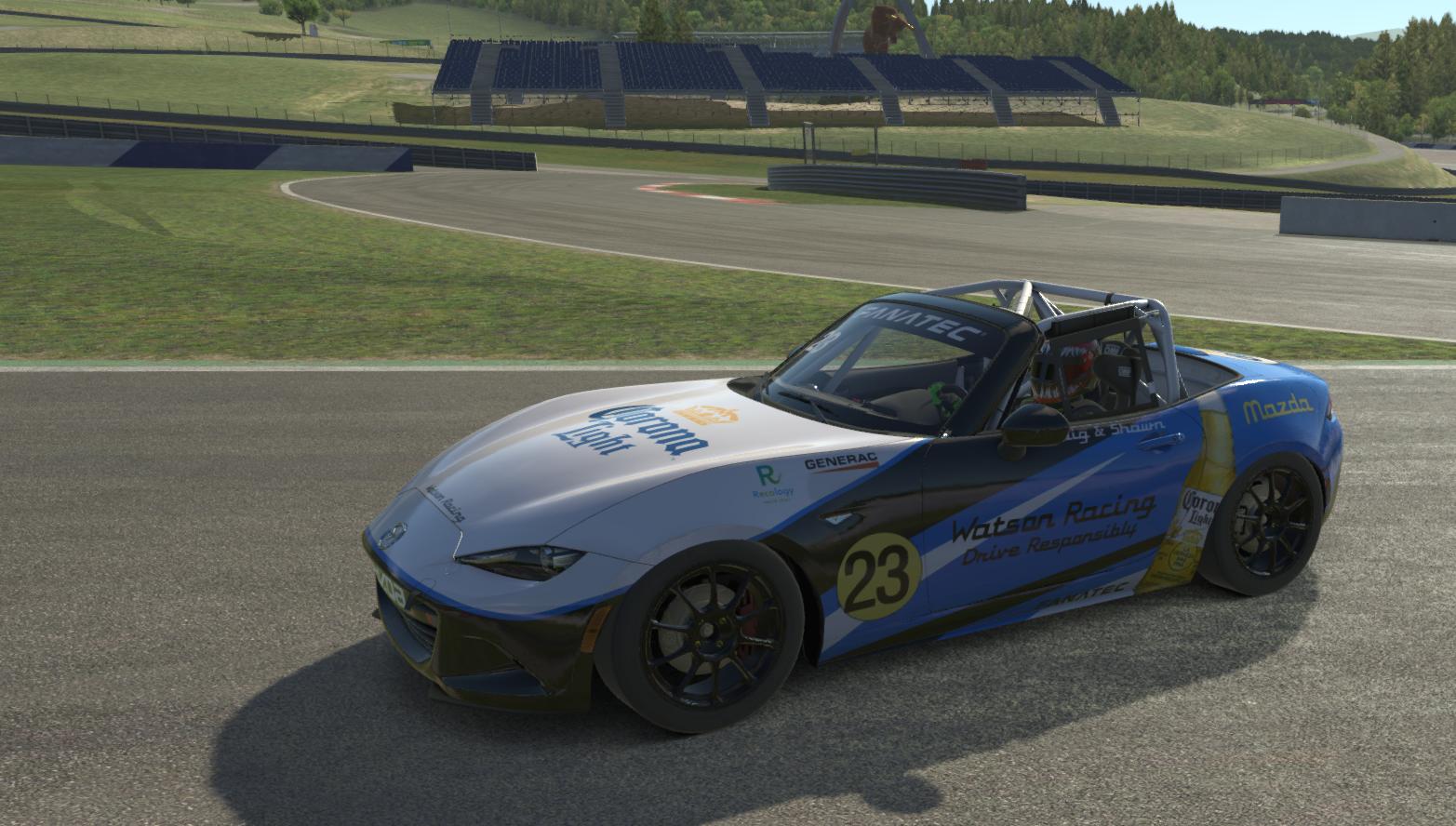 Corona Racing by Craig Surman Trading Paints