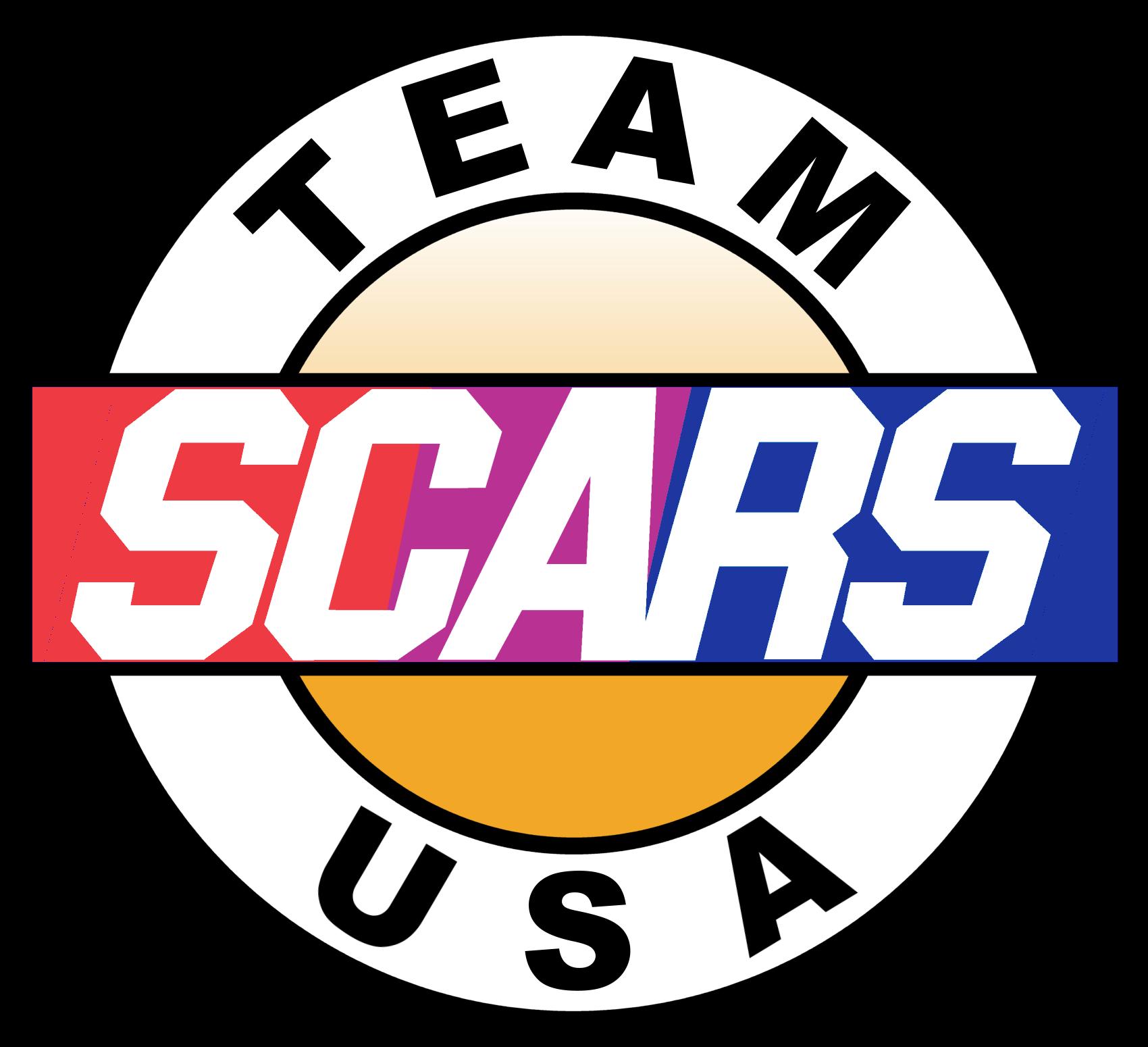 SCARS Driver Suit Black by Jon Honaker Trading Paints