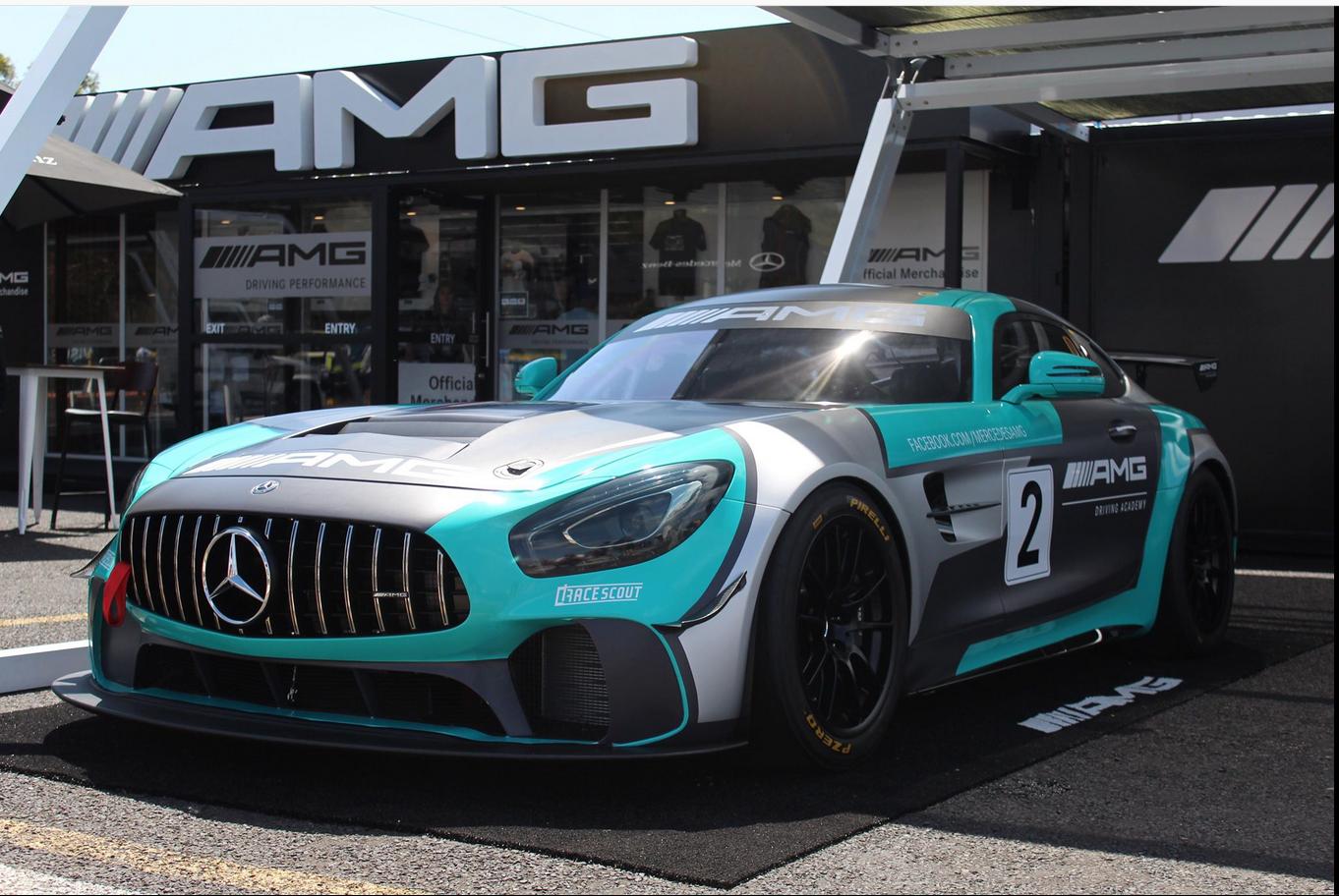 Preview of 2019 Factory Mercedes-AMG GT4 World Release Car by Scott S.