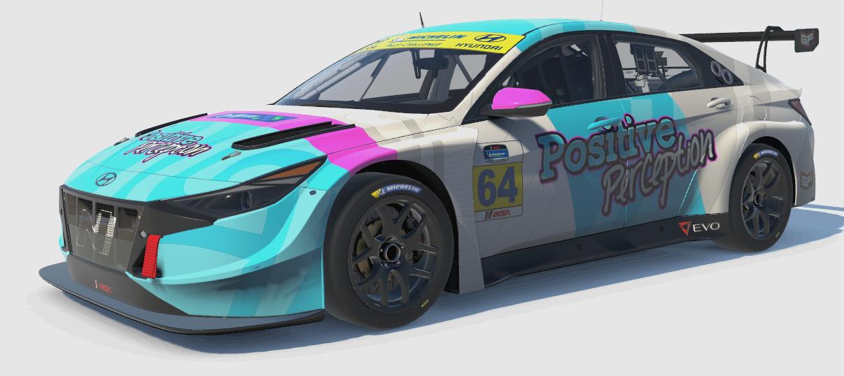 Positive Perception Racing w/Dunn Motorsport Hyundai Elantra TCR
