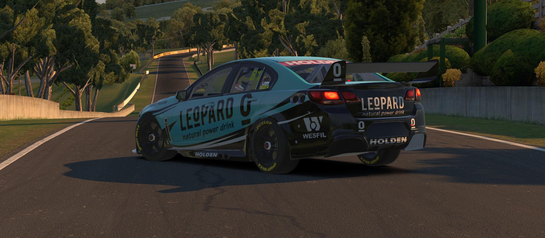 Holden Commodore V8SC LEoPARD Natural Power Drink Concept by Scott