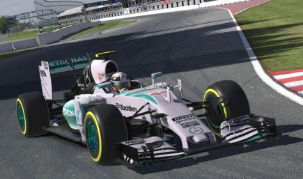 2015 World Champion Lewis Hamilton Petronas