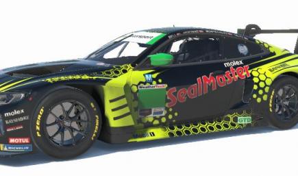 Vasser Sullivan GTD BMW GT3
